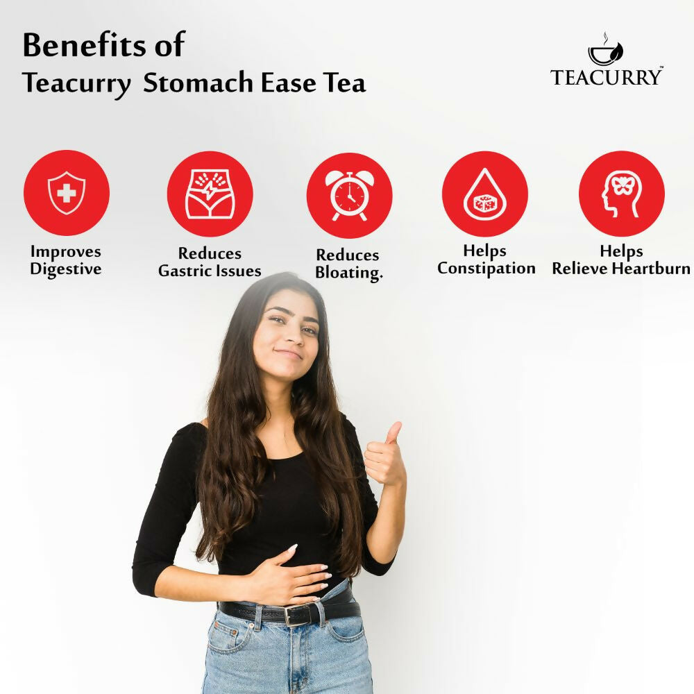 Teacurry Digestion Tea