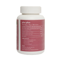 Thumbnail for Baidyanath Jhansi Ayurvedant Plat Plus Tablets