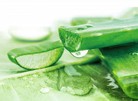 Thumbnail for Herbal Essences Sulfate Free potent Aloe +Bamboo Real Botanicals Strength Conditioner