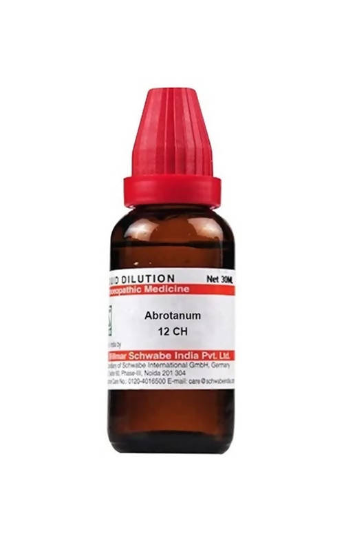 dr.-willmar-schwabe-india-abrotanum-dilutio