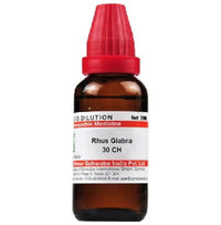 Thumbnail for dr.-willmar-schwabe-india-rhus-glabra-dilutio