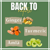 Thumbnail for Satvi Wellness Turmeric Ginger Amla Tea| Turmeric Tea| Ginger Tea| Amla Tea