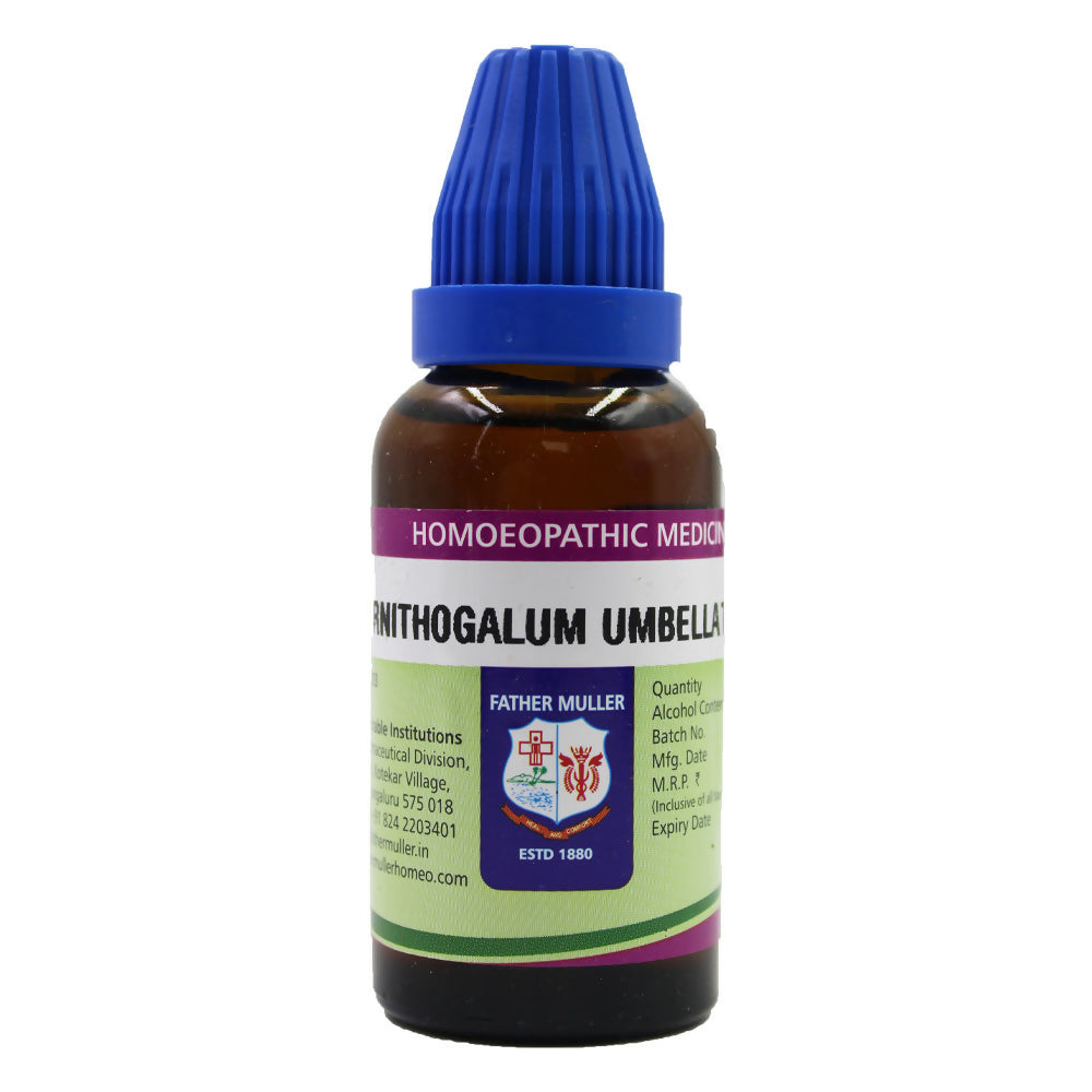 father-muller-ornithogalum-umbellatum-mother-tincture-