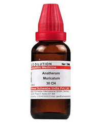 Thumbnail for dr.-willmar-schwabe-india-anatherum-muricatum-dilutio