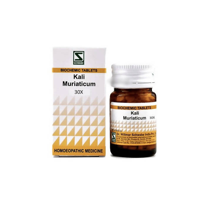 dr.-willmar-schwabe-india-kali-muriaticum-biochemic-table