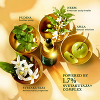 Thumbnail for Indulekha Svetakutuja Dandruff Treatment Scalp Serum