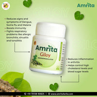 Thumbnail for Amrita Giloy Tablets