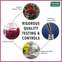Thumbnail for Vaadi Herbals Rose 100% Pure Essential Oil Therapeutic Grade 10 Ml