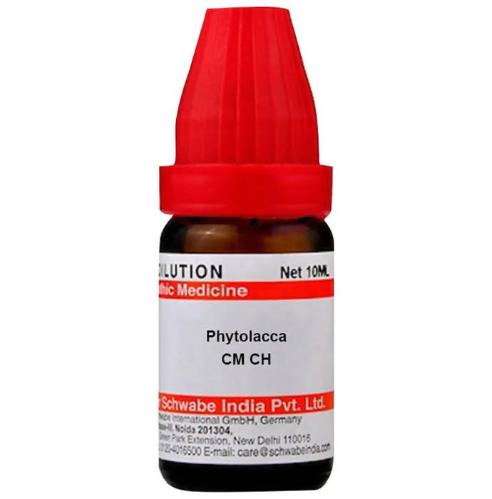 dr.-willmar-schwabe-india-phytolacca-dilutio