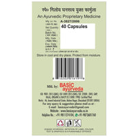 Thumbnail for Basic Ayurveda Giloy Power Capsules