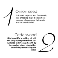 Thumbnail for Brillare Onion Hair Oil with the Goodness Of Cedar Wood & Sunflower Oil