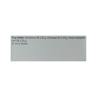 Thumbnail for Dr. Reckeweg R 193 Immune System Fortifier Drop