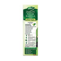 Thumbnail for Dabur Jamun Neem Karela Juice