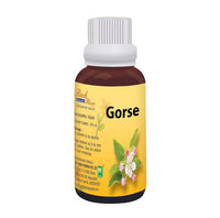 Thumbnail for bio-india-homeopathy-bach-flower-gorse-dilutio