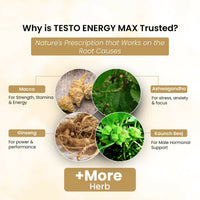 Thumbnail for Life Aveda Testo Energy Max Capsules