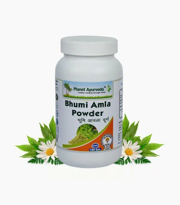 planet-ayurveda-bhumi-amla-powder