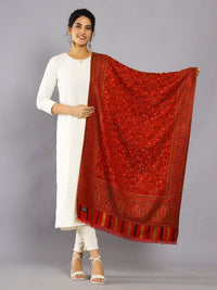 Thumbnail for ethnic-motifs-woven-design-wool-shawl