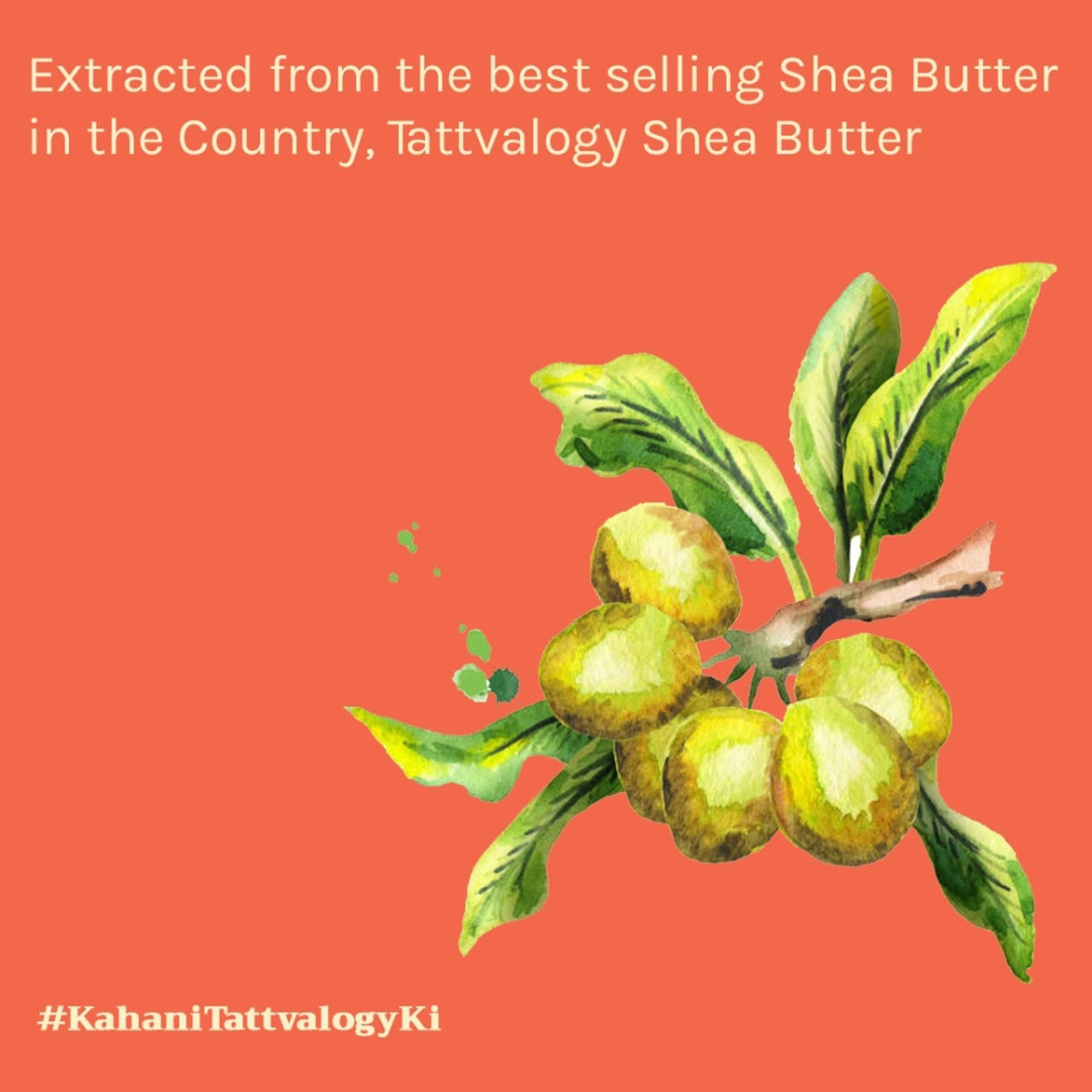Tattvalogy African Shea Oil
