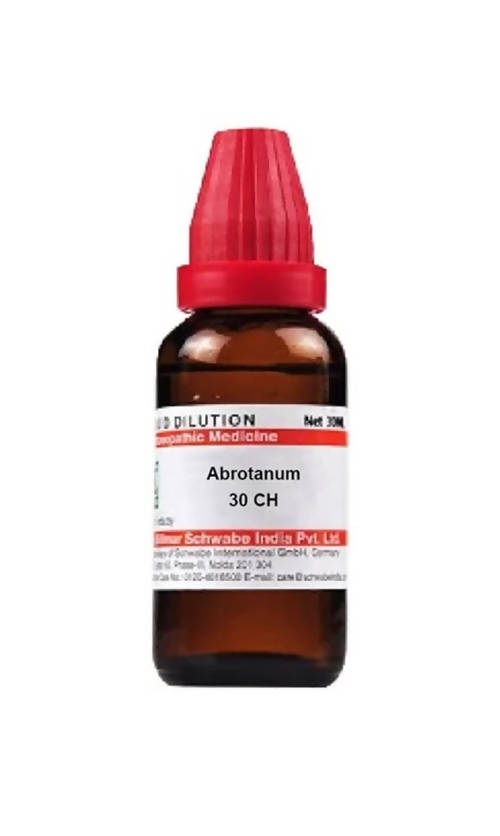 dr.-willmar-schwabe-india-abrotanum-dilutio