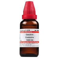 Thumbnail for dr.-willmar-schwabe-india-cenchris-contortrix-dilutio