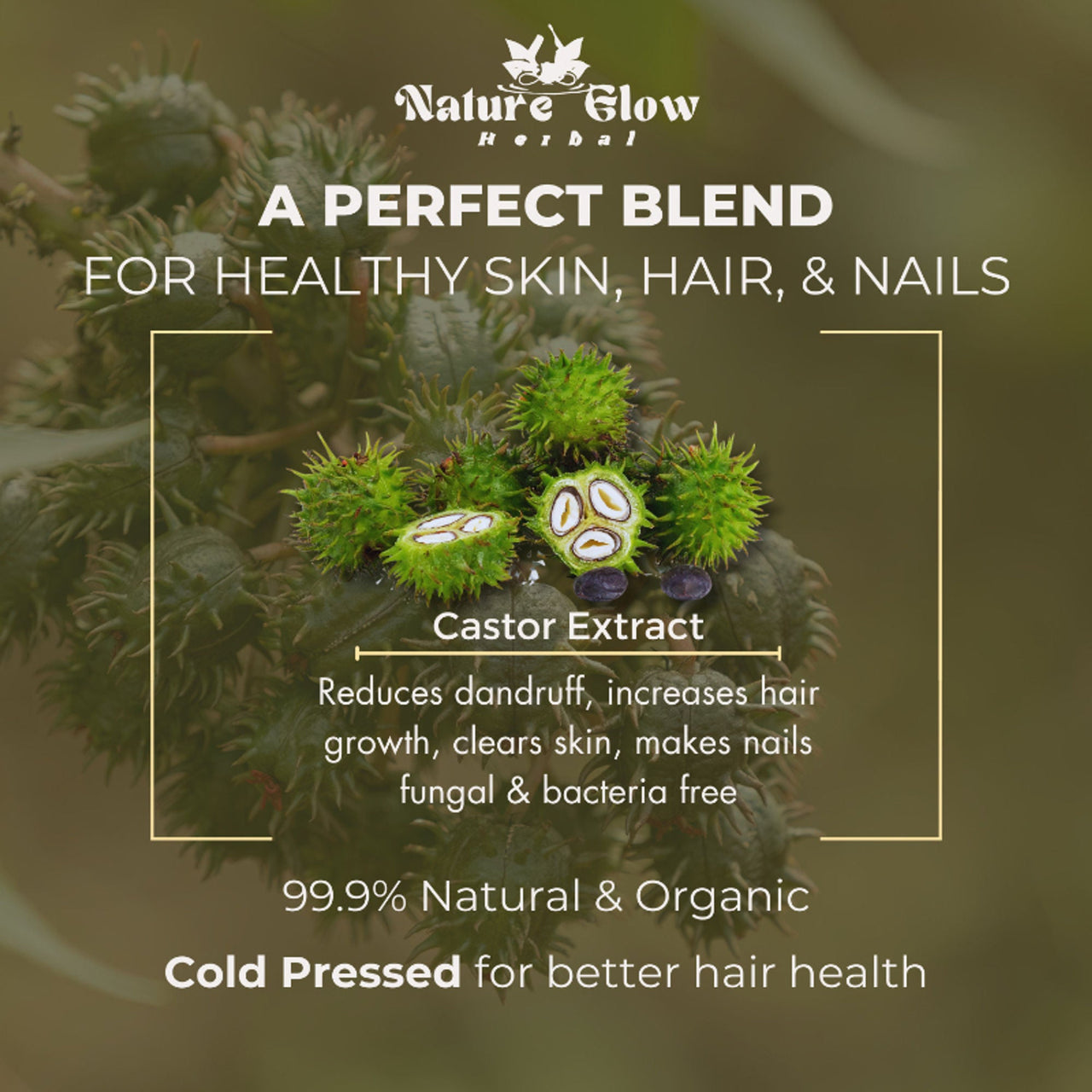 Nature Glow Herbal Castor & Onion With Black Seed Hair Oil Combo