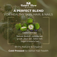 Thumbnail for Nature Glow Herbal Castor & Onion With Black Seed Hair Oil Combo