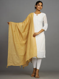 Thumbnail for Striped Embroidered Dupatta with Sequinned