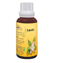 Thumbnail for bio-india-homeopathy-bach-flower-larch-dilutio