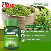 Thumbnail for Herbal Canada Wheat Grass Capsules
