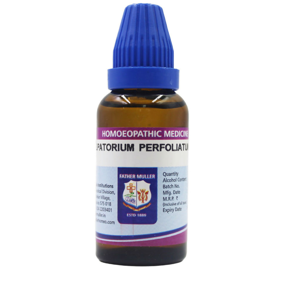 father-muller-eupatorium-perfoliatum-dilutio