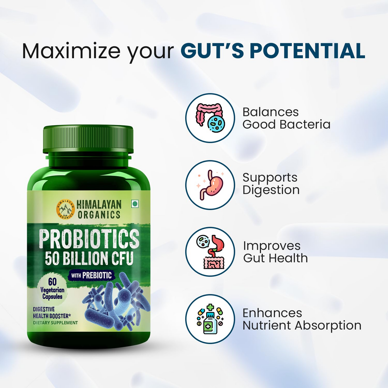 Himalayan Organics Probiotics Supplement 50 billion Prebiotics Capsules
