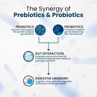 Thumbnail for Himalayan Organics Probiotics Supplement 50 billion Prebiotics Capsules