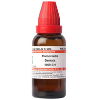 Thumbnail for dr.-willmar-schwabe-india-comocladia-dentata-dilutio