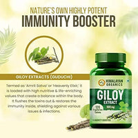 Thumbnail for Himalayan Organics Giloy Extract 500 mg Tablets
