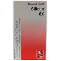 Thumbnail for dr.-reckeweg-silicea-biochemic-tablet