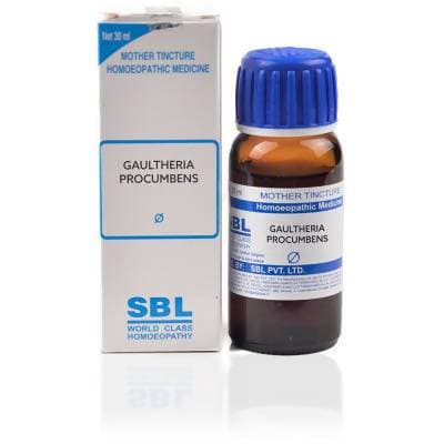 sbl-homeopathy-gaultheria-procumbens-mother-tincture-