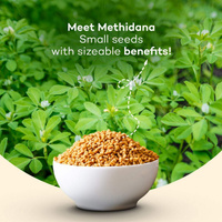 Thumbnail for Urban Platter Fenugreek Seeds Whole