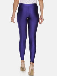 Thumbnail for Shimmer Ankle-Length Leggings