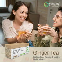 Thumbnail for Merlion Naturals Ginger Tea Bags