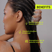 Thumbnail for Moxie Beauty Rinse & Shine