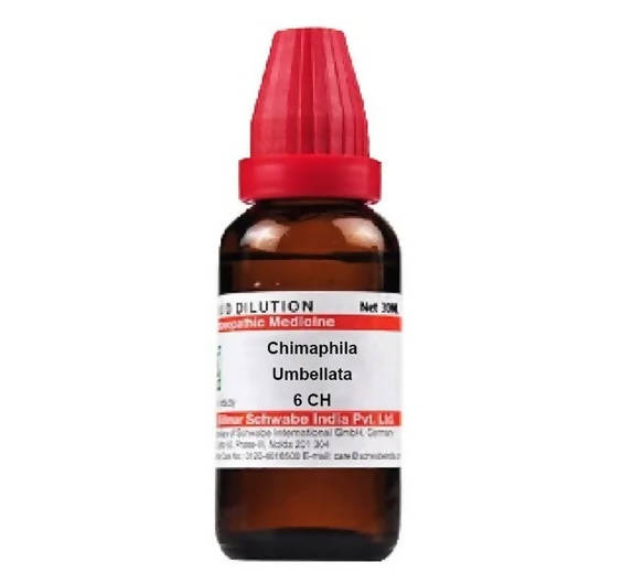 dr.-willmar-schwabe-india-chimaphila-umbellata-dilutio
