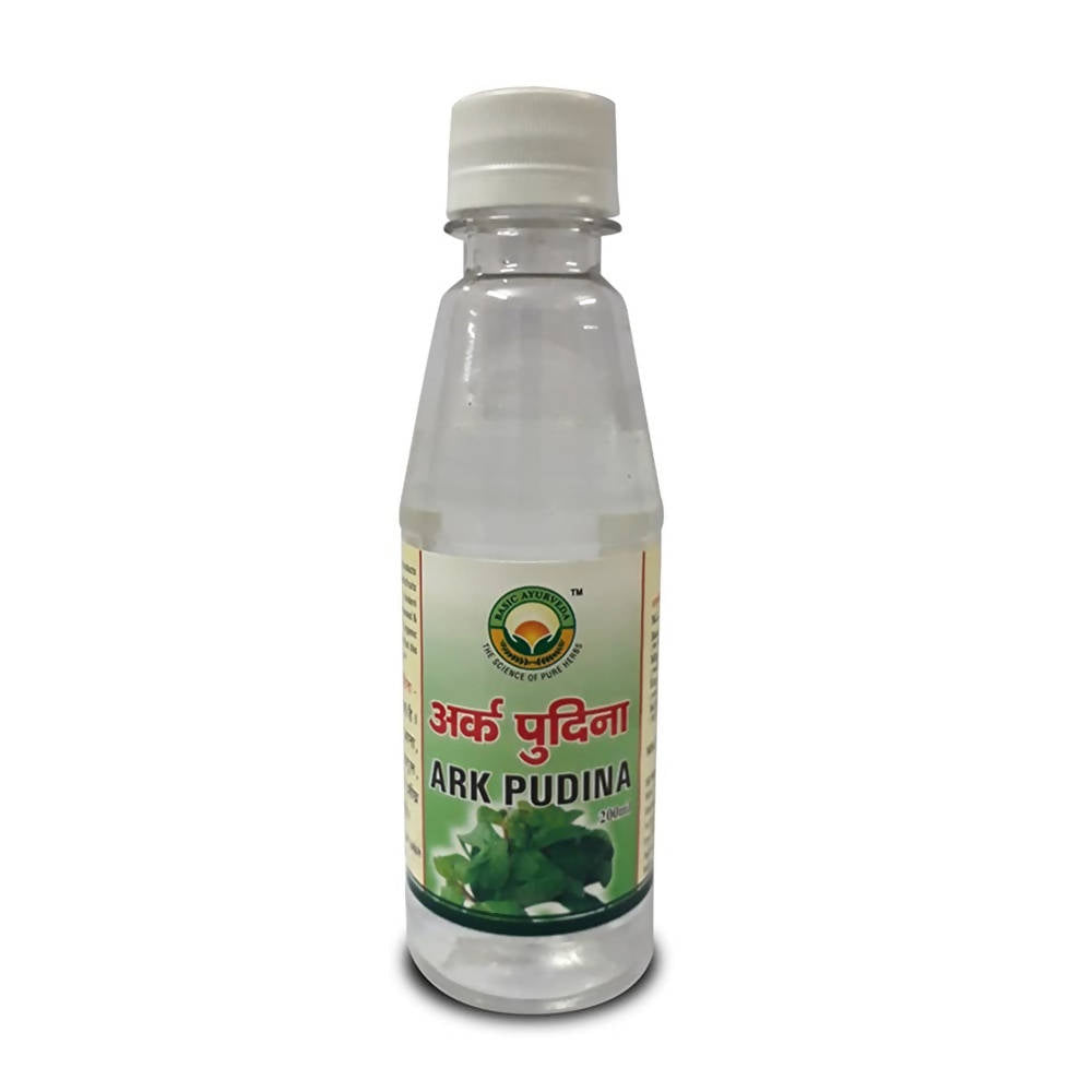 basic-ayurveda-ark-pudina