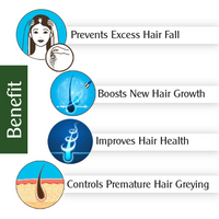 Thumbnail for Keya Seth Aromatherapy Alopex Absolute Solution Hair Serum