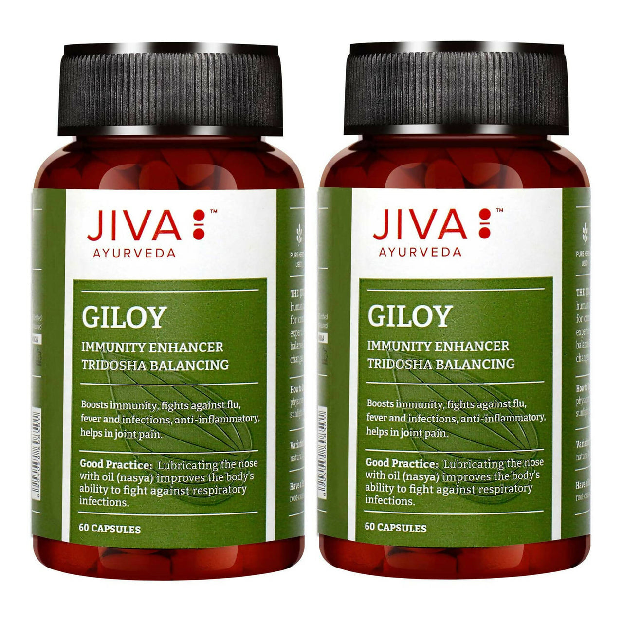 Jiva Ayurveda Giloy Capsules