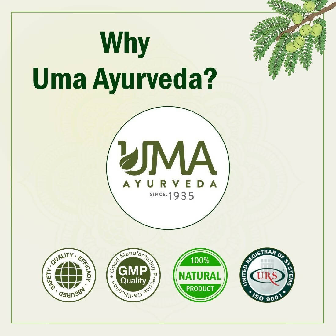 Uma Ayurveda Umadizest Gastric Medicine Ayurvedic Tablets