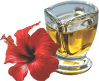 Thumbnail for Spag Herbals Hibiscus Herbal Hair Oil
