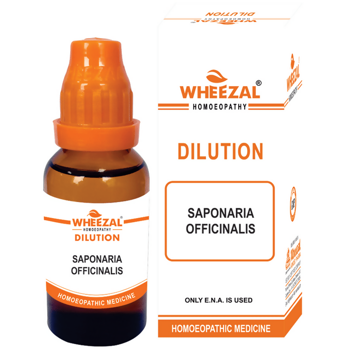 wheezal-homeopathy-saponaria-officinalis-dilutio