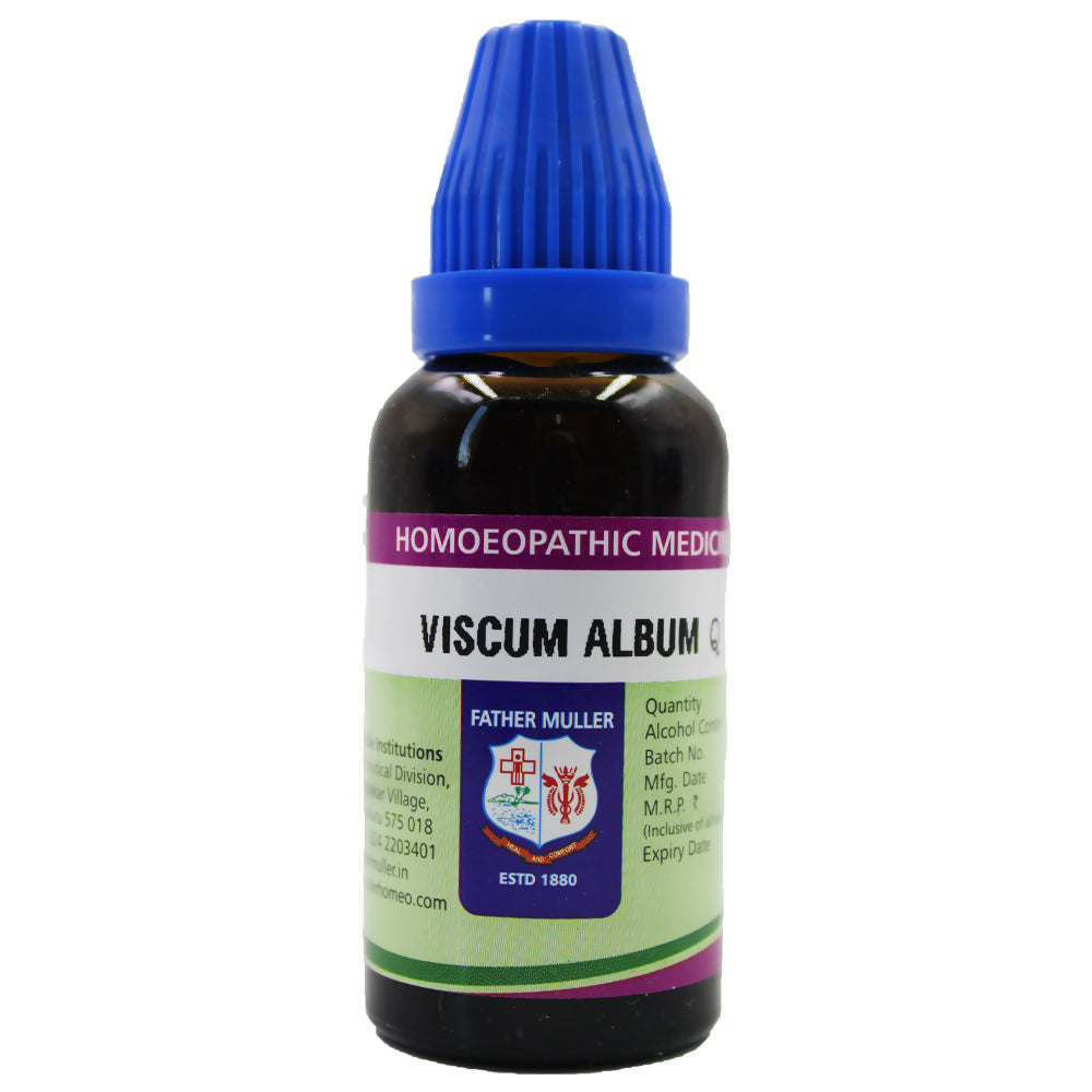 father-muller-viscum-album-mother-tincture-