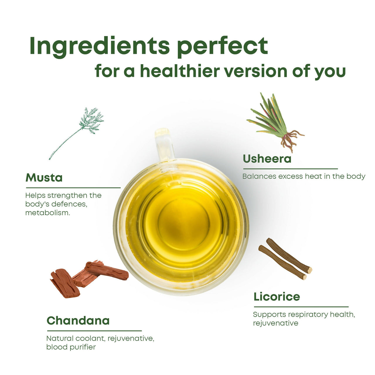Shivamastu Ayurveda Wellnessbrew Herbal Tea
