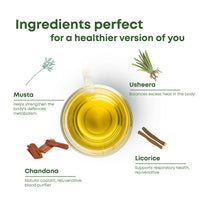 Thumbnail for Shivamastu Ayurveda Wellnessbrew Herbal Tea